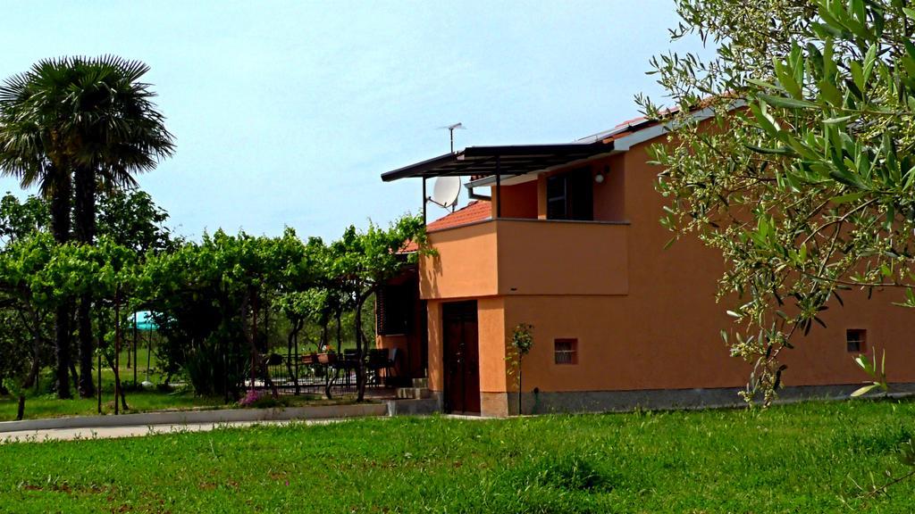 Apartament Garden Monsena *